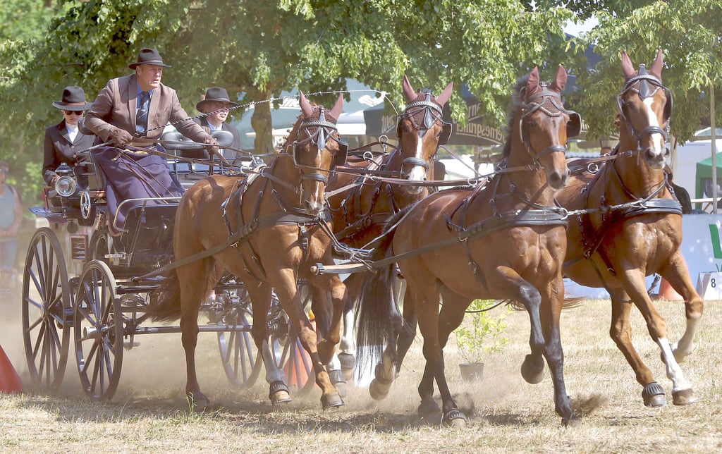 Steffen Gerber vom RFV Steckby-Anhalt rast hier mit seinem Vierspänner mit Garry, Chester, Geronimo und Konell zum Sieg in der letzten Teildisziplin Hindernisfahren. Er konnte alle Disziplinen der kombinierten Prüfung für sich entscheiden und das Mitteldeutsche Vierspännerchampionat vor heimischer Kulisse verteidigen.