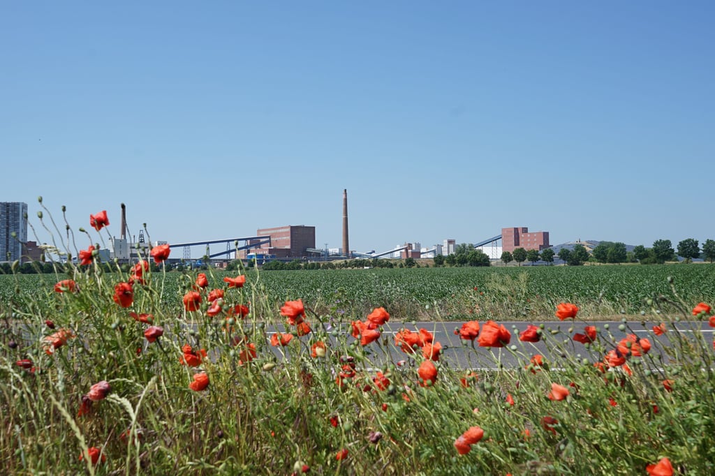 Das Kaliwerk Zielitz prägt nicht nur das Bild, sondern auch die Entwicklung und Kaufkraft in der Region Elbe-Heide und Wolmirstedt.