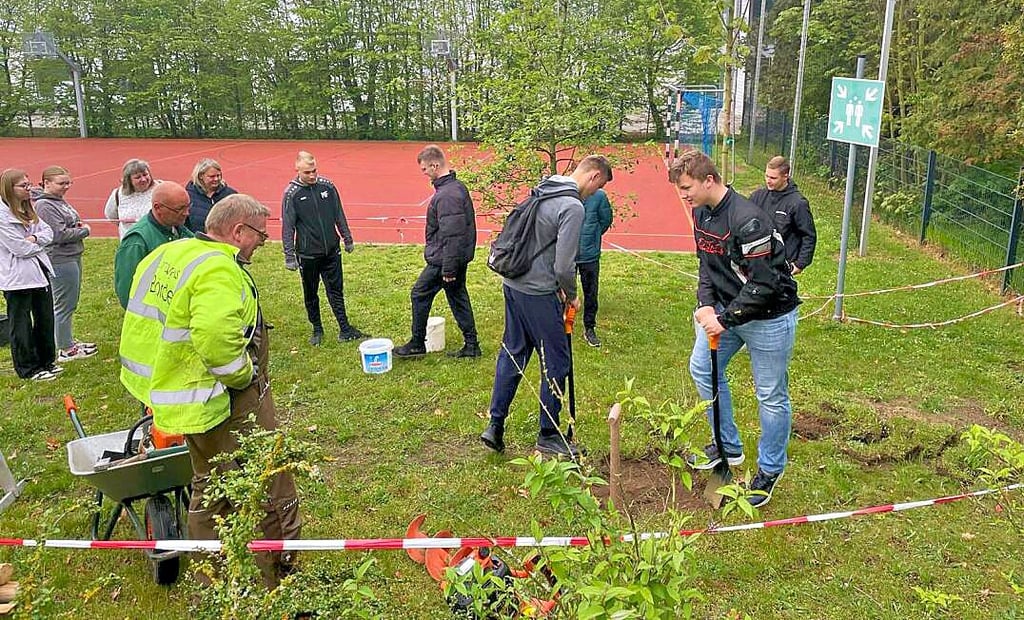 Für das Einpflanzen legten die Schüler selbst mit Hand an. Ihr Baum wird auf dem Schulhof der Sekundarschule wachsen und gedeihen.