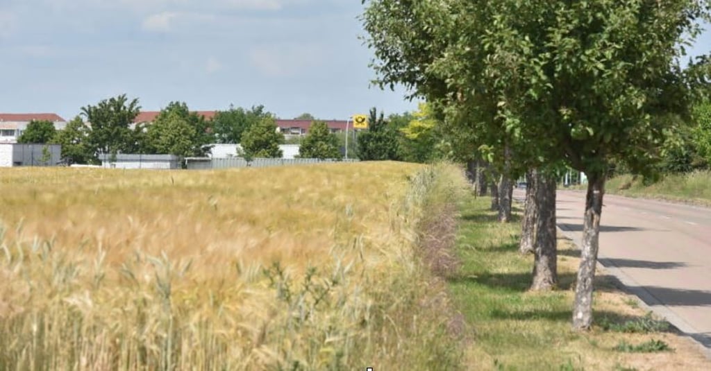 Der Acker an der Johann-Reis-Straße soll einem Gewerbegebiet weichen. Denn die Stadt will Gewerbeflächen verkaufen.
