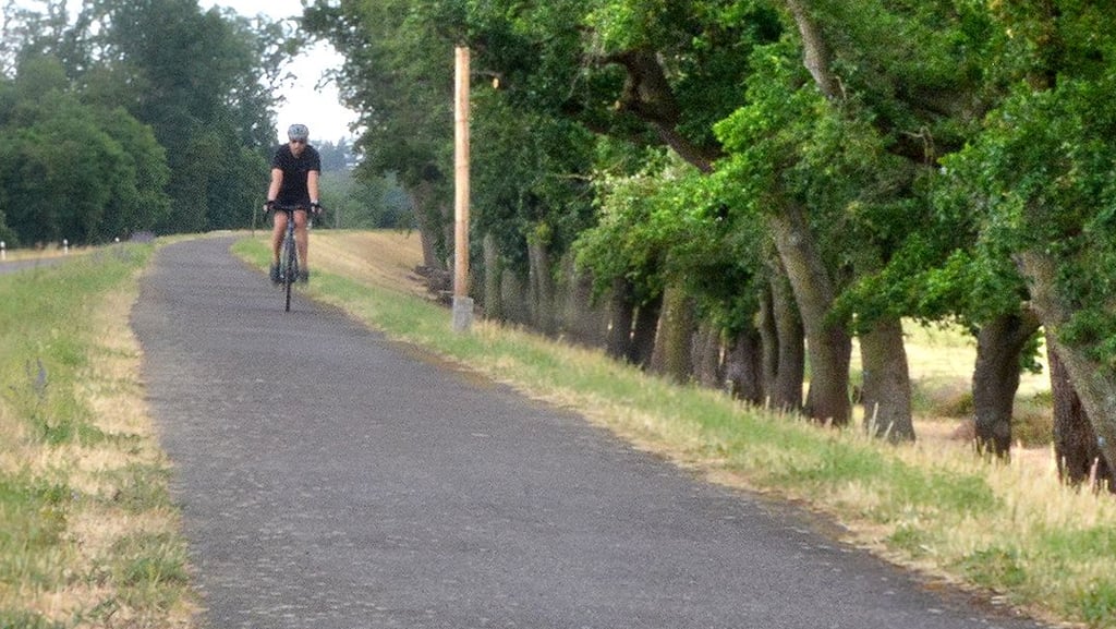 Obwohl der Elberadweg nahe Ranies noch nicht offiziel freigegeben ist, wird er von Radfahrern genutzt. Schilder weisen indes noch auf die Umleitungsstrecke über Plötzky und Elbenau hin - und das wird diese Saison auch so bleiben.