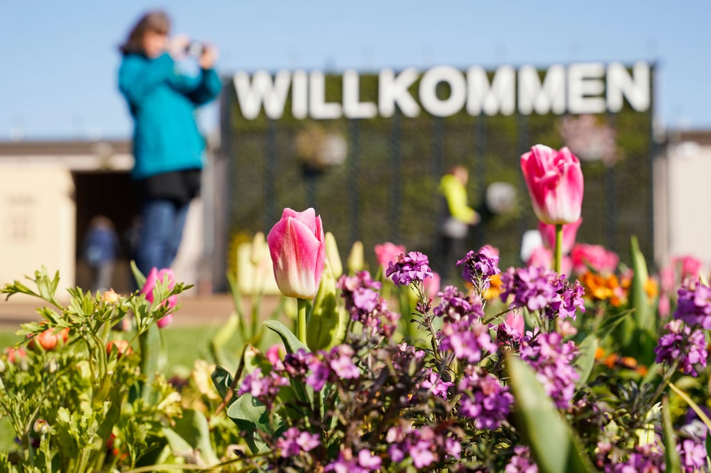 In diesem Jahr findet die Bundesgartenschau in Mannheim statt.