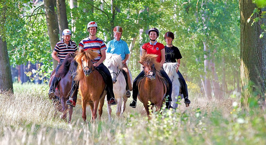 Auf dem Vormarsch ist der Reittourismus in der Altmark und im Elb-Havel-Winkel: Diese Gruppe ist hoch zu Ross auf einem Feldweg bei Ziemendorf unterwegs.