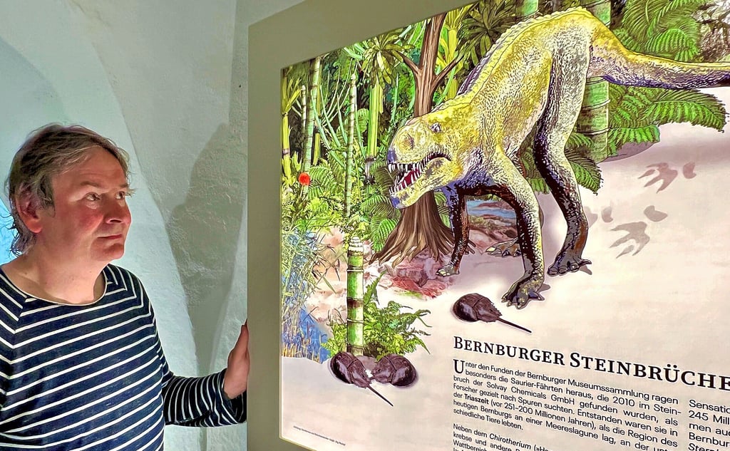 Jörg Wachtel hat die neue Dauerausstellung im Museum konzipiert. Hier steht er an einer Informationstafel über die fossilienreichen Bernburger Steinbrüche.