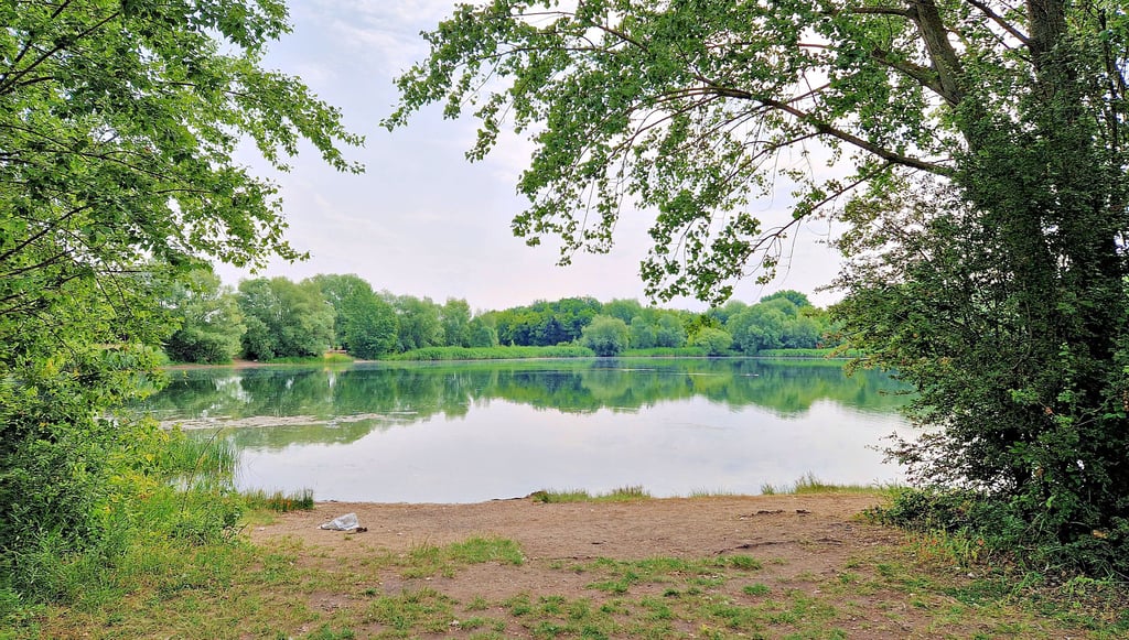 An dieser Badestelle am Kanal in Halle-Neustadt hat sich das tragische Unglück ereignet.