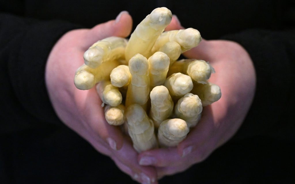 Thüringer Spargel wird im Hofladen des Spargelhof Kutzleben angeboten.