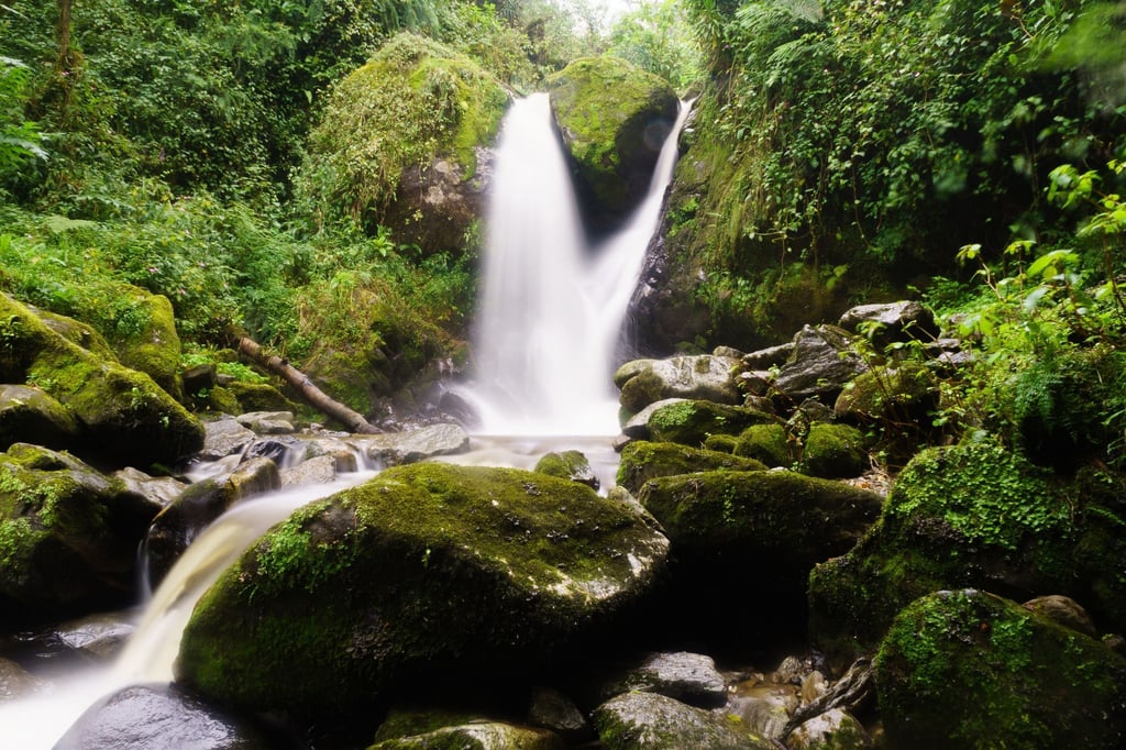 Wasserfall im Regenwald? Kein Problem. Auch dazu findet sich ein Soundfile auf „Earth.fm“.