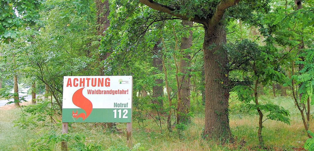 Zwischen dem Waldrand und den Solaranlagen sollte genügend Abstand sein, um ein Übergreifen im Brandfall zu verhindern.