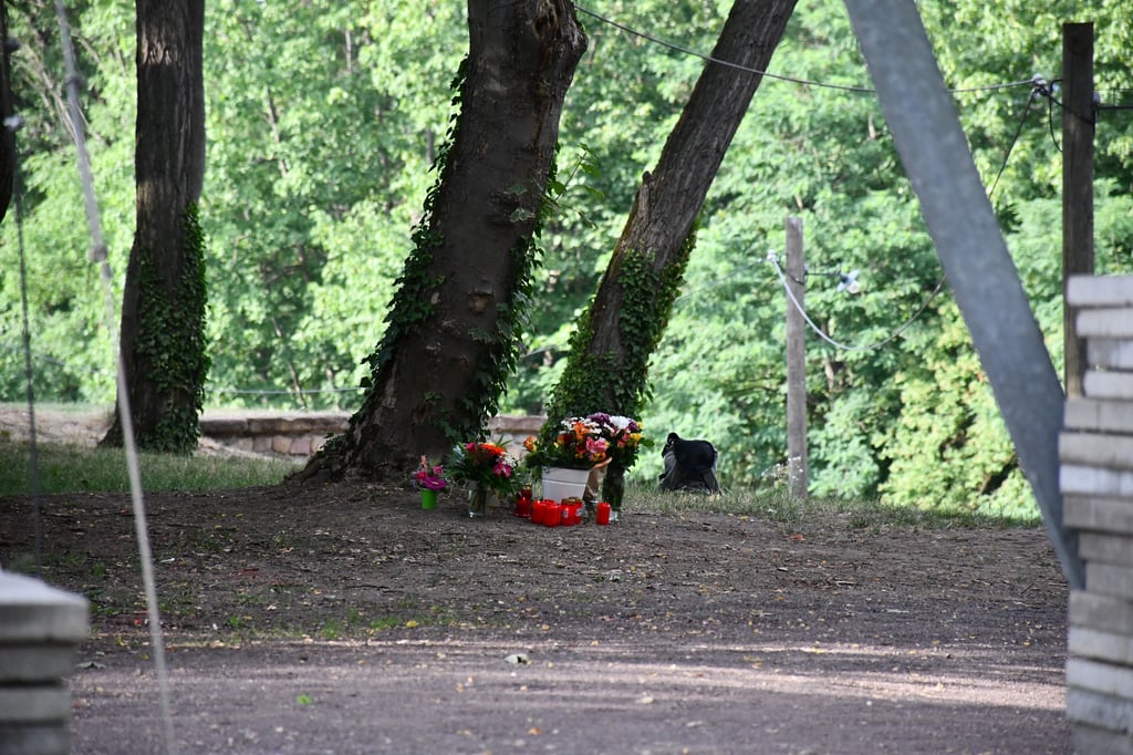 Nach dem tödlichen Unfall nach einer Theatervorstellung im Magdeburger Ravelin wurden am Unglücksort Blumen niedergelegt.