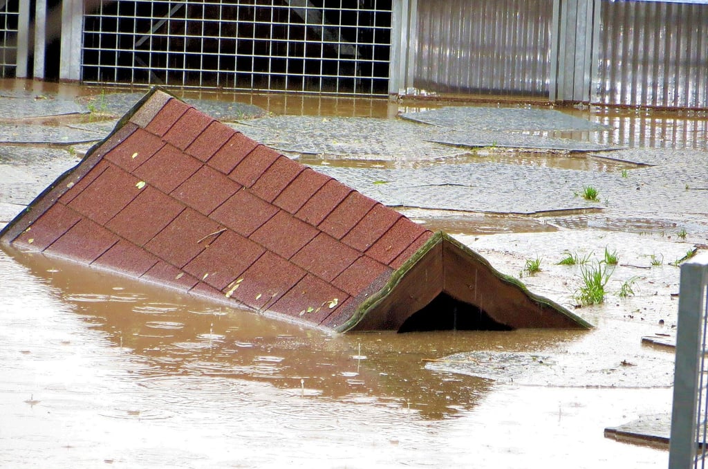 Schwimmende Häuser: Das Hochwasser richtete im Juni 2013 im Tierheim Zeitz unvorstellbare Schäden an.