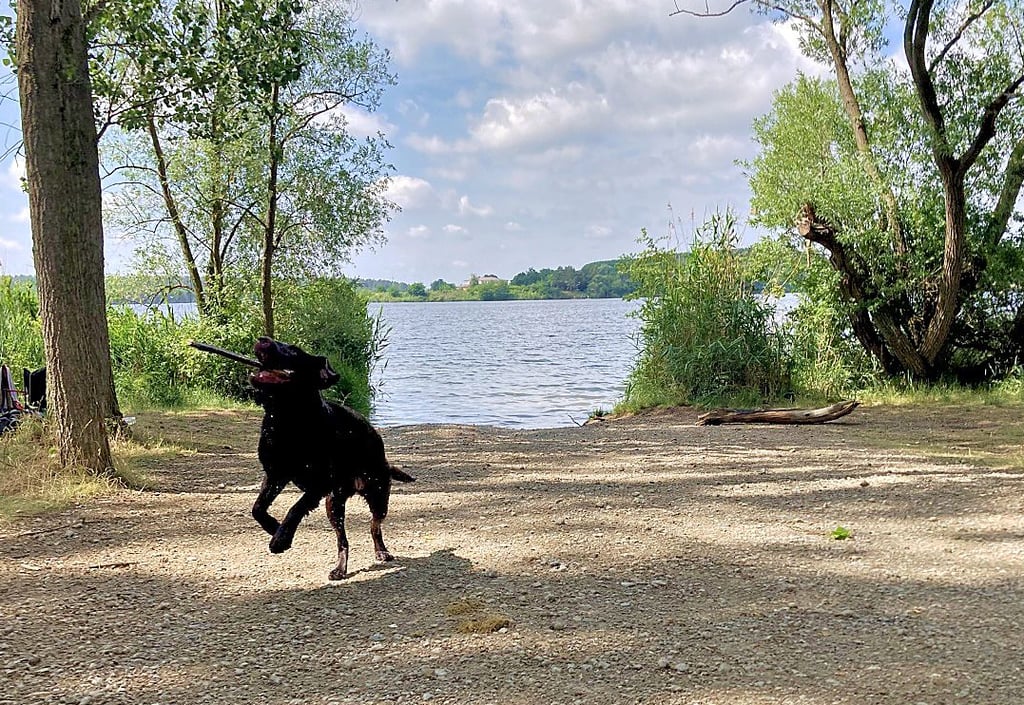 Blick auf den Bereich des öffentlichen Hundebadestrandes am Niegripper See. Hier Parkflächen für Wohnmobile einzurichten, ist immer noch möglich.
