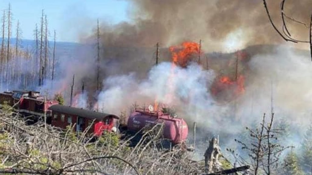 Am Königsberg unterhalb des Brockens stand Anfang Juni der Wald im Harz in Flammen.