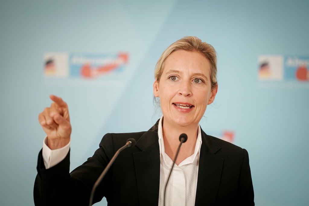 „Natürlich hab ich Lust“, sagt die AfD-Chefin Alice Weidel über eine geplante Kanzlerkandidatur ihrer Partei.