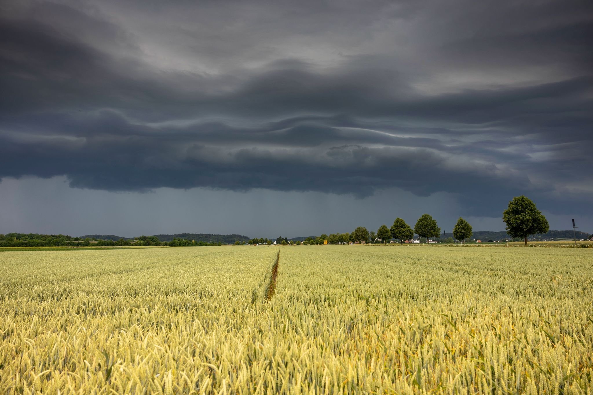 Wetterbericht: Unwetter In Deutschland: Hagel Und Tornados Erwartet