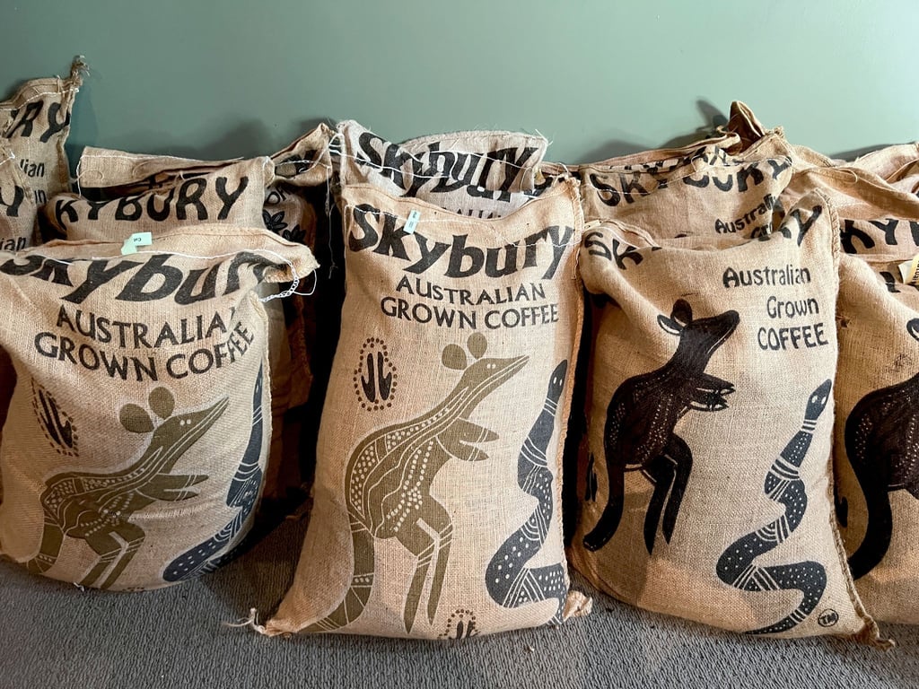 Begehrte Ware: Die Arabica-Bohnen von Skybury werden in die ganze Welt exportiert.