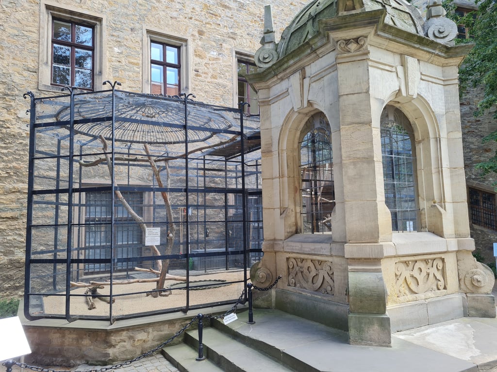 Die Rabenvoliere im Merseburger Schloss