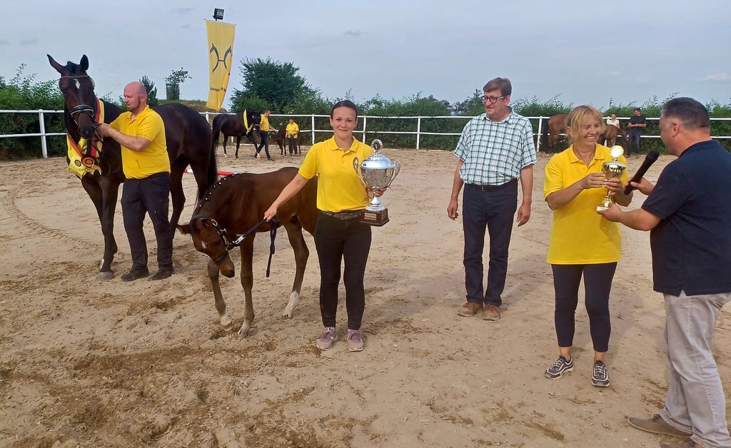 Marcel Naumann (von links) mit Stute „Quintana“, Isabel Schmidt mit dem Gewinner der Fohlenschau „Follow me“, Tierarzt Christian Niederlein, Petra Schöning und Andreas Koch bei der Siegerehrung auf dem Parcours in Garsena.