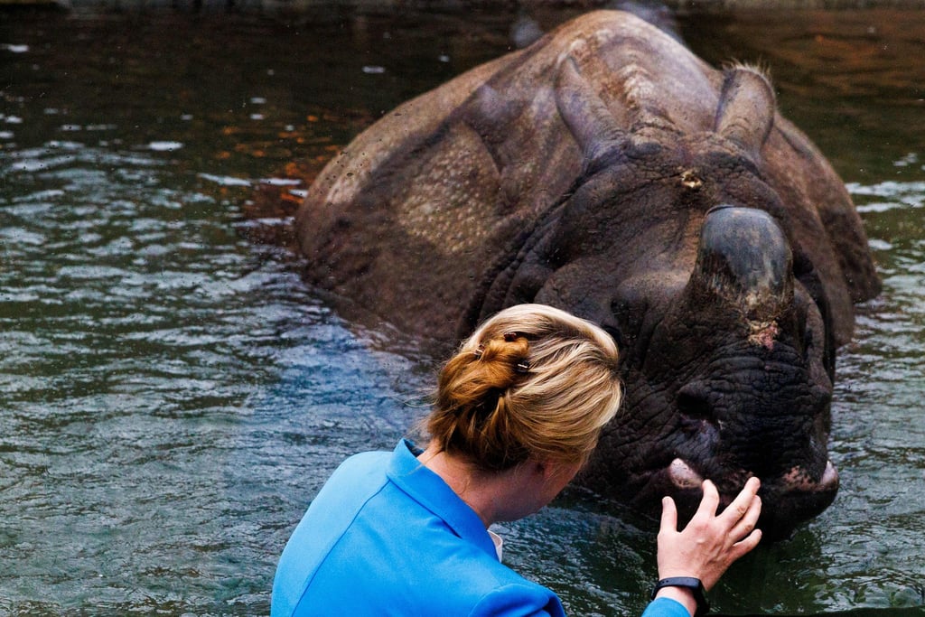 Wirtschaftssenatorin von Berlin Franziska Giffey berührt bei der Eröffnung der Nashorn-Pagode im Zoo Berlin die Glasscheibe vor dem Becken.