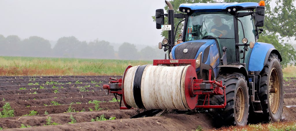Bereits einen Tag vor dem Johannistag konnte aufgrund des Wetters kein Spargel mehr gestochen werden. Mit Hilfe der Technik wurde deshalb schon am Freitag damit begonnen, die Folien von den Feldern abzuziehen.