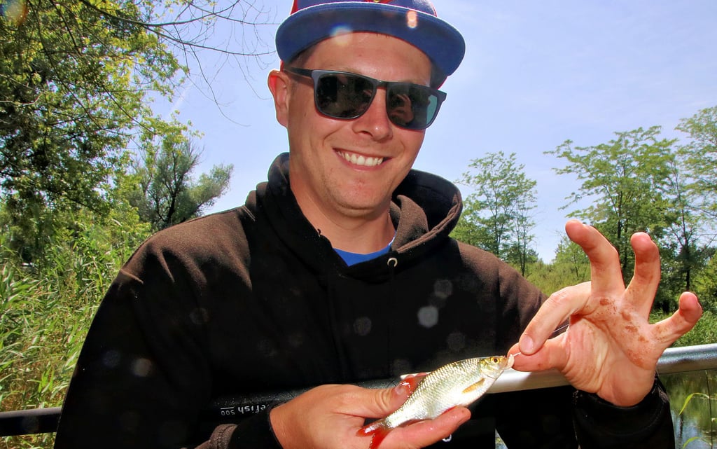 Kevin Krause mit einer kleinen Rotfeder. Nachdem er den Fisch vom Haken befreit hat, darf die Rotfeder zurück in das Gewässer. Aber es gibt auch deutlich größere Fische im Colphus, sagen die erfahrenen Angler.