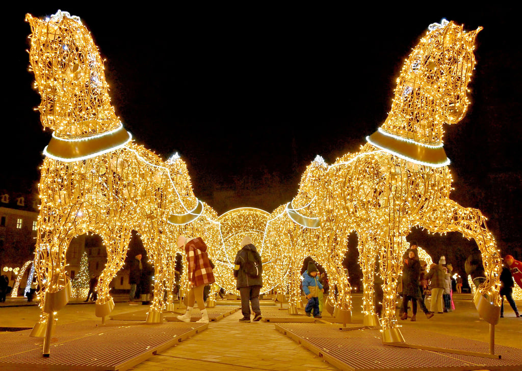 Blickfang in der Weihnachtszeit auf dem Magdeburger Domplatz: Die Pferde mit der Halbkugel sind gern gewähltes Motiv für funkelnde Fotos. Sie sollen ab 2025 einen Nachfolger bekommen. Die Stadt plant einen neuen Eyecatcher für die Lichterwelt.