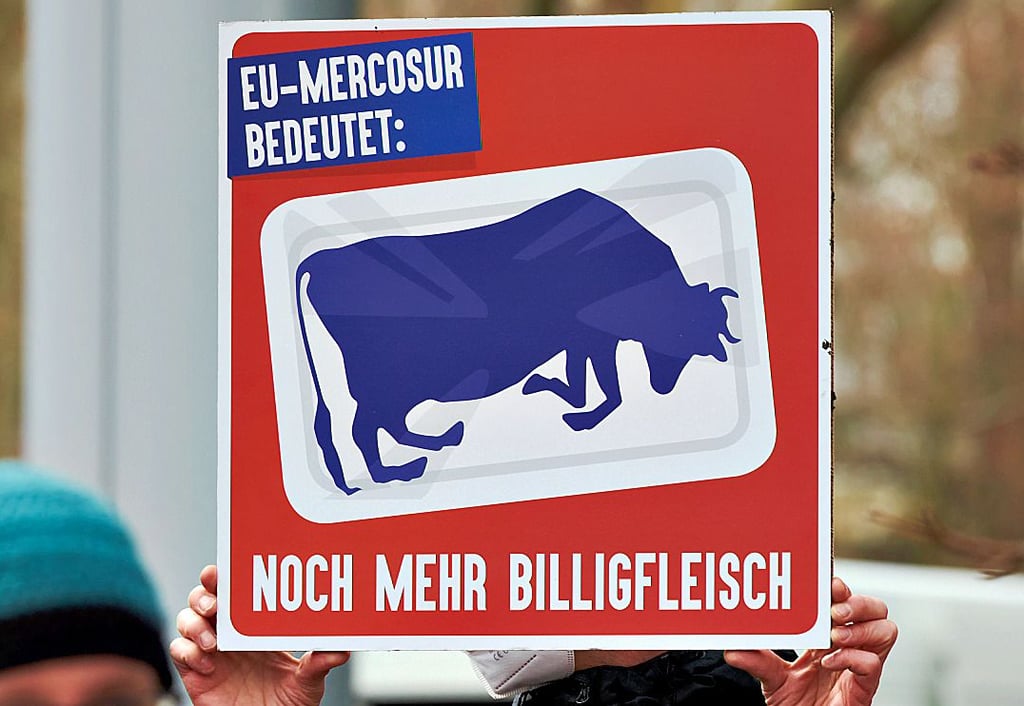 Gegen das Mercosur-Abkommen regt sich viel Widerstand, weil in Südamerika geringe Produktionsstandards gelten.