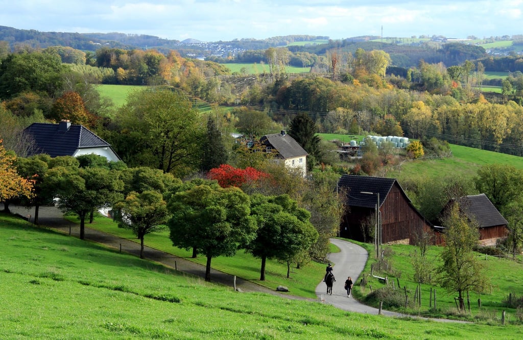 Idylle abseits der Tagebaue: Abgelegene Bauernhöfe, Viehweiden und Wälder prägen das Bergische Land bei Lindlar.