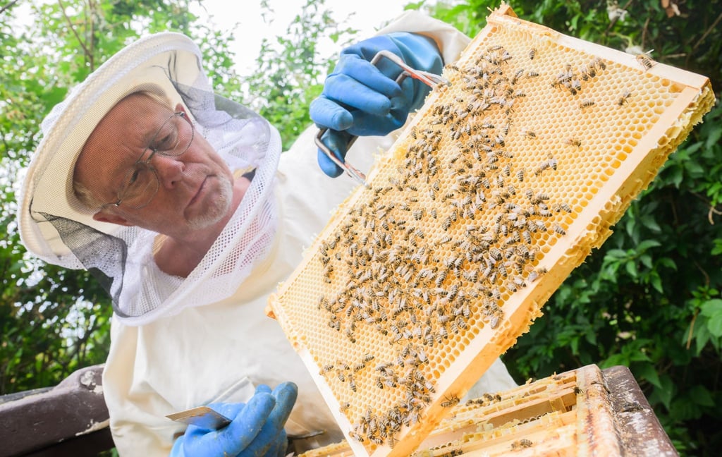 Hobbyimker Rainer Oberwelland steht an seinem Bienenstock in einem Garten in der Region Hannover.