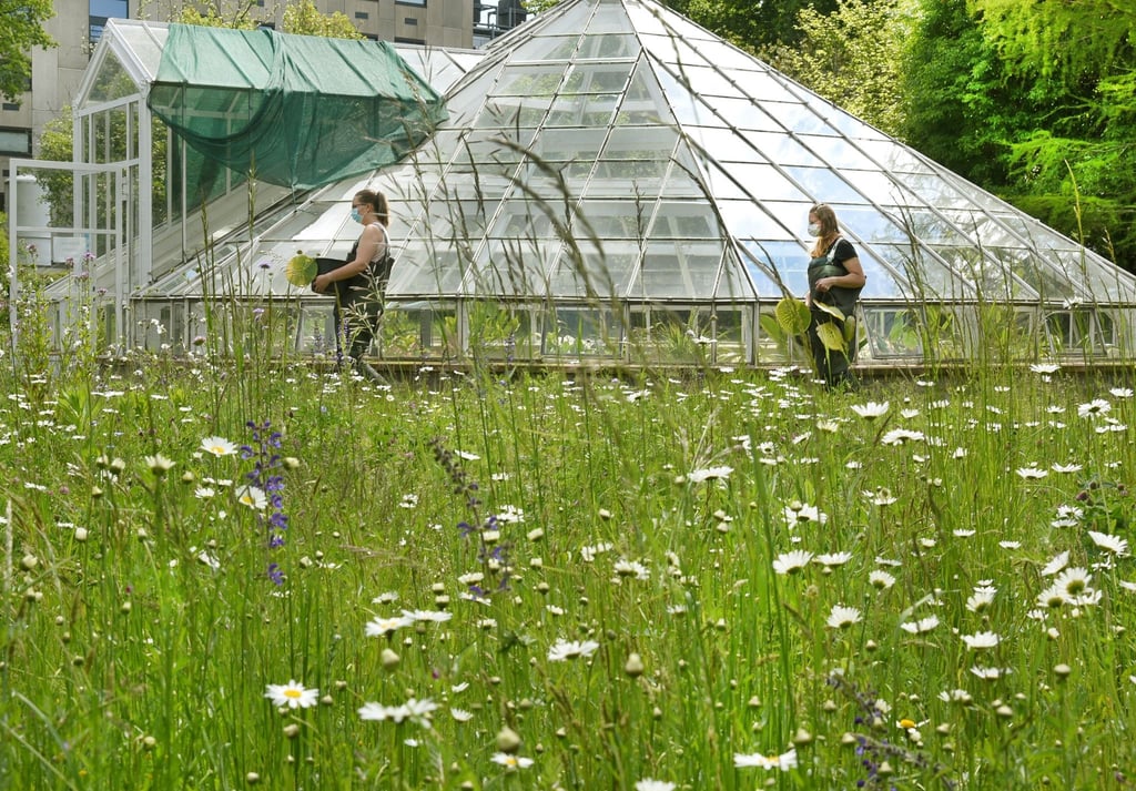 Die Gärtnerinnen Anika Behr und Janet Klingner (r-l) bringen kleine zum pflanzen in das historische Victoriahaus im Botanischen Garten der Universität.