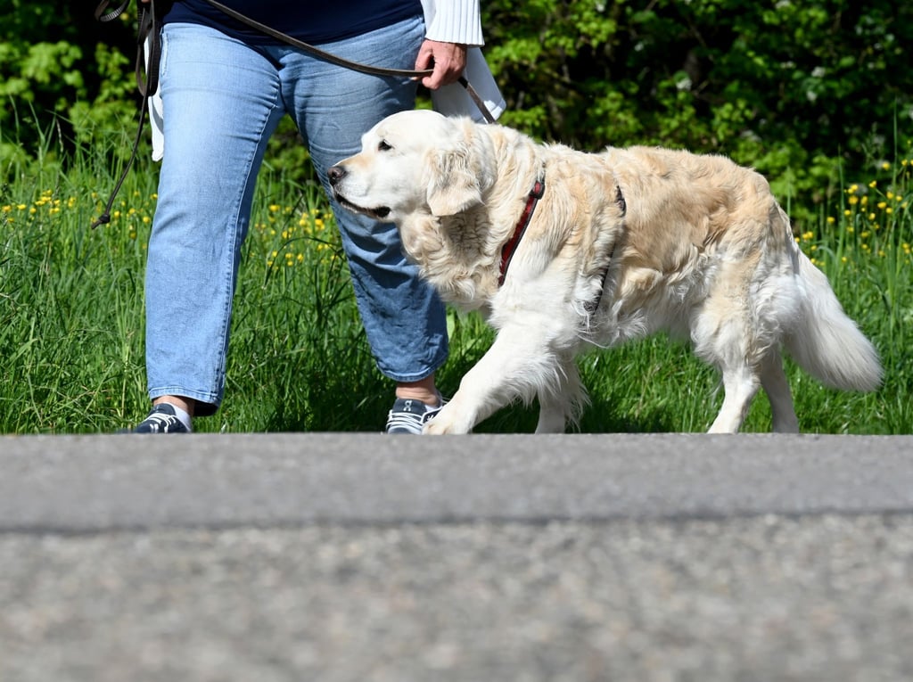 Eine Frau geht mit ihrem Hund spazieren.
