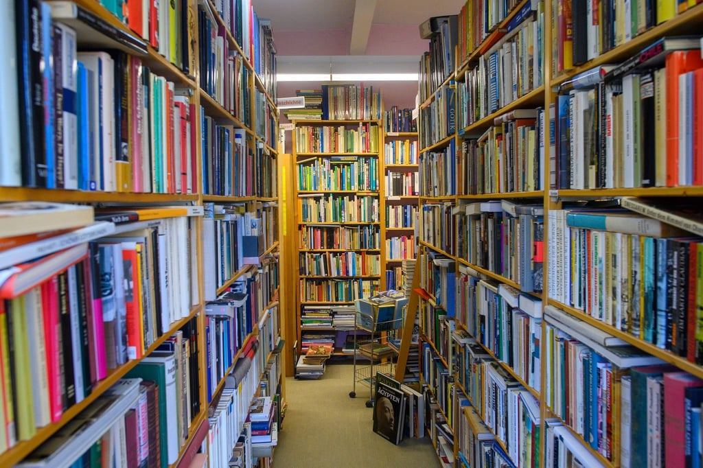 Bücherregale im „Antiquariat Gödicke Alte Schule“.