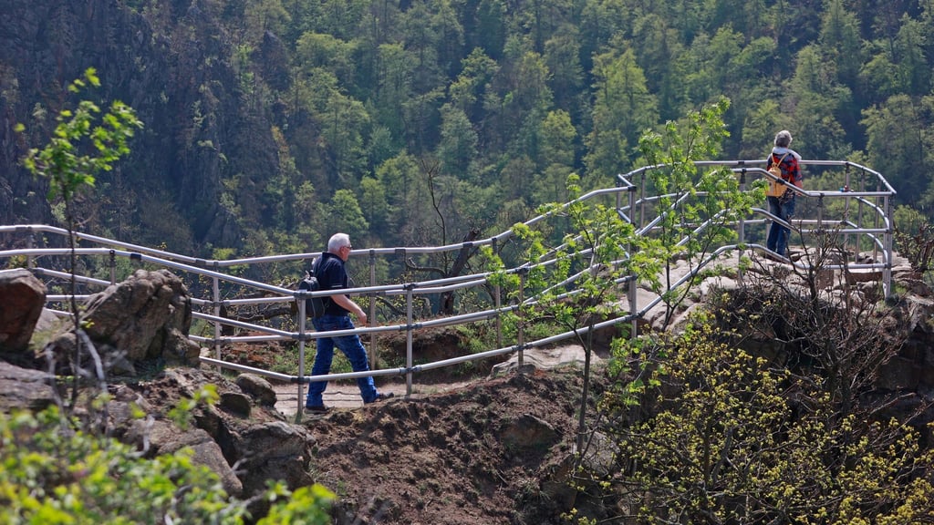 Wanderer stehen auf dem Rosstrappefelsen und genießen die Aussicht ins Bodedal.
