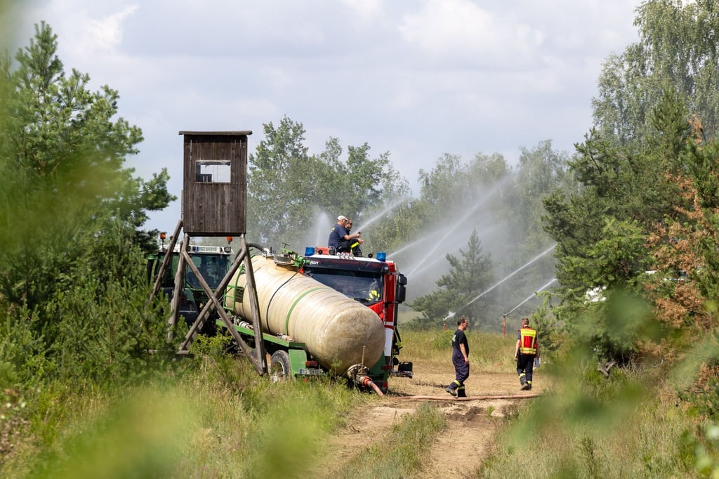 Feuerwehrleute stehen im Waldstück der Gohrischheide bei Zeithain und löschen den Brand.