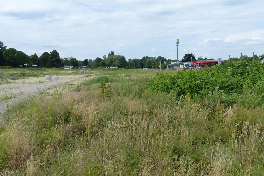 Auf diesem Areal am Krondorfer Kreisel will Kaufland ab Frühjahr 2024 den neuen Markt erbauen.