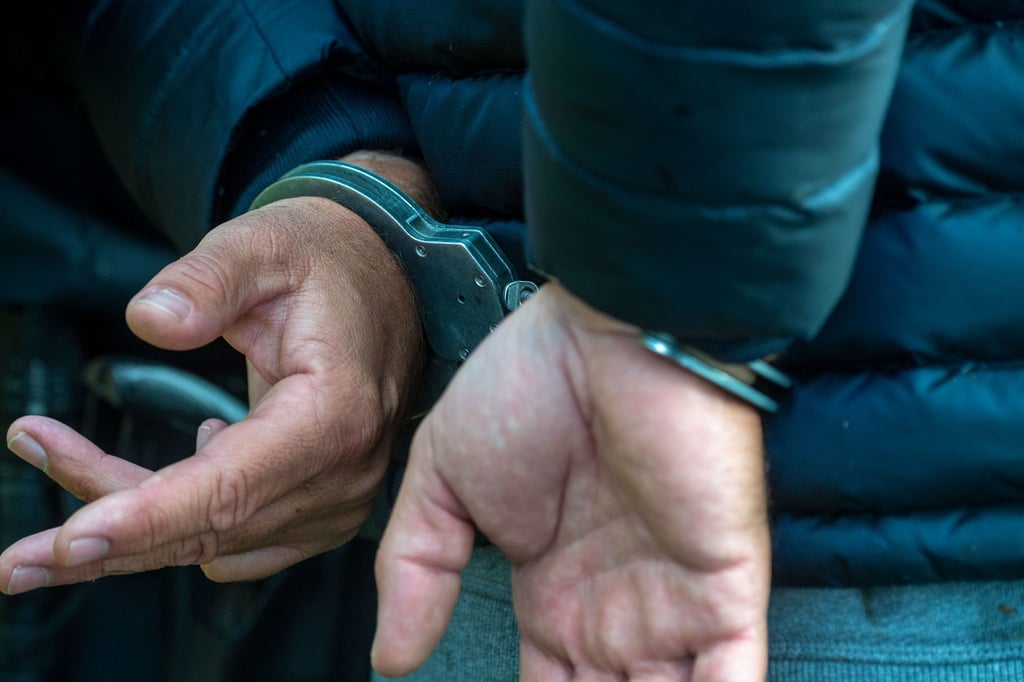 Auf frischer Tat ertappt wurden zwei Diebe in Wörlitz.