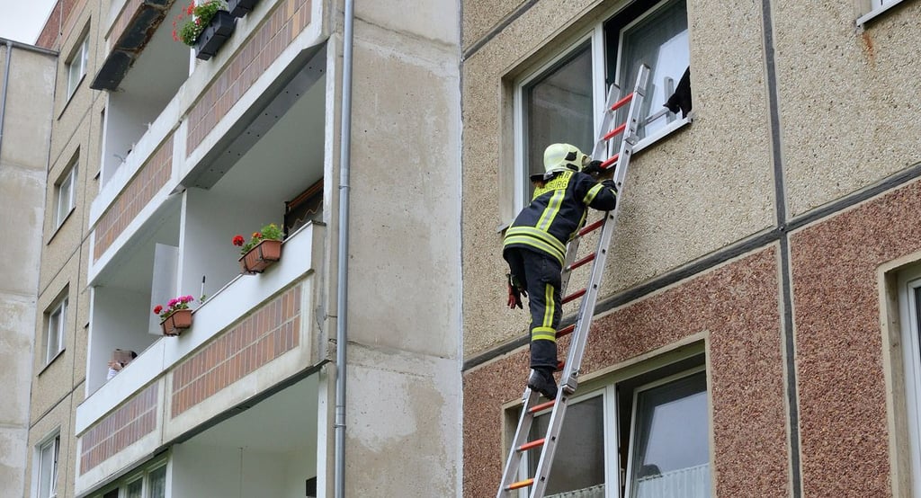 Die Katze steckt in einem Fenster im ersten Obergeschoss fest.