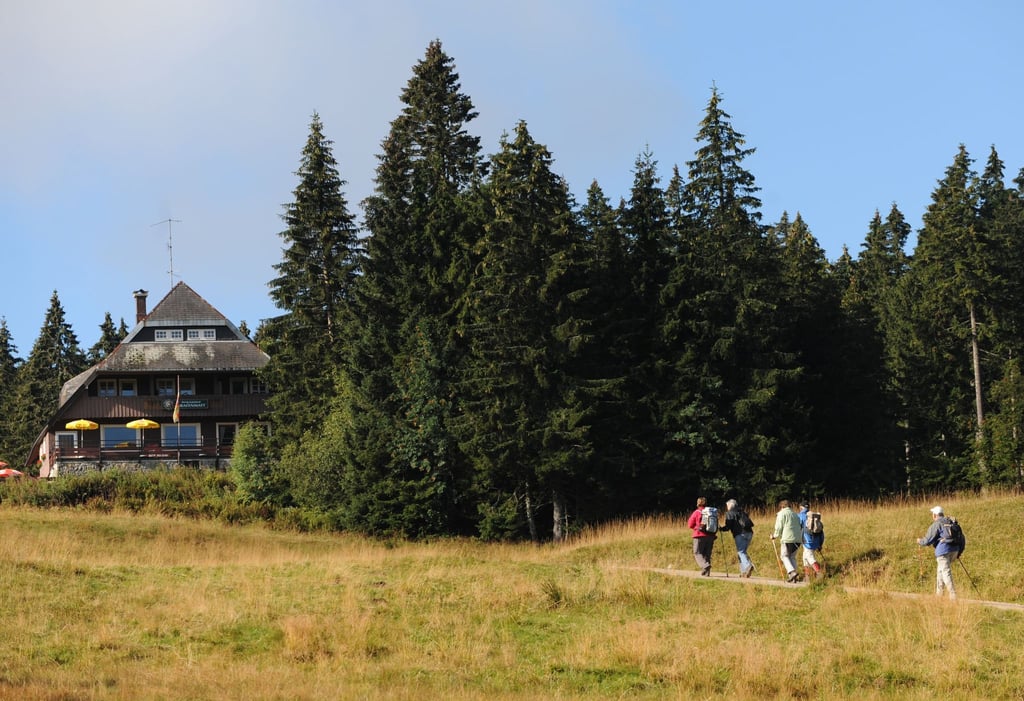 Zu sehen sind Wanderer, die einen Berg hinauf gehen.