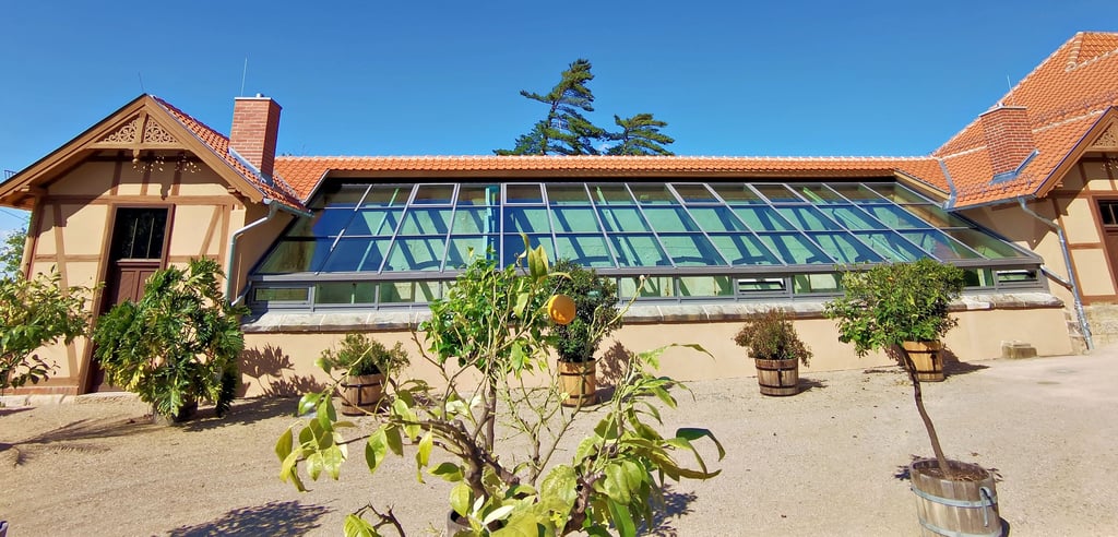Das Dach und die prägnante Verglasung der Orangerie im Blankenburger Barockgarten sind bereits erneuert worden. In das Ensemble wieder Leben einziehen, aber anders als gedacht.