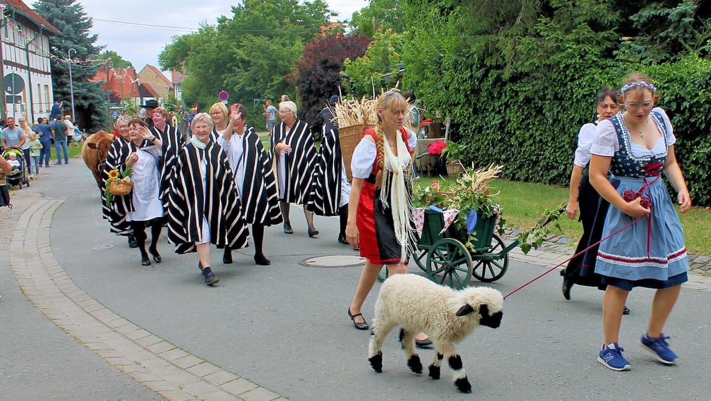 Der Festumzug durch den Ort war am Sonnabend der Höhepunkt der 950-Jahr-Feier in Langeln. Rund 400 Mitwirkende und einige Tausend Zuschauer hatte der bunte Zug. Mit dabei war auch wieder Lämmchen Hannibal.