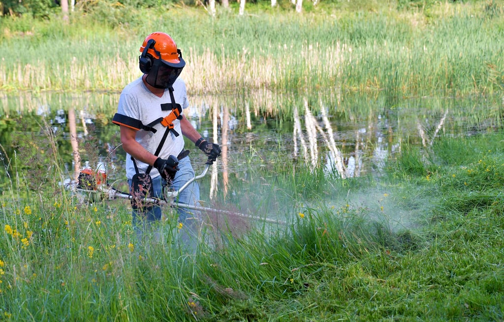 Ein schweißtreibender Job: Nur mit schwerem Gerät kann Jens Rawolle den kniehohen Uferbewuchs am Kathendorfer Teich zurückschneiden.