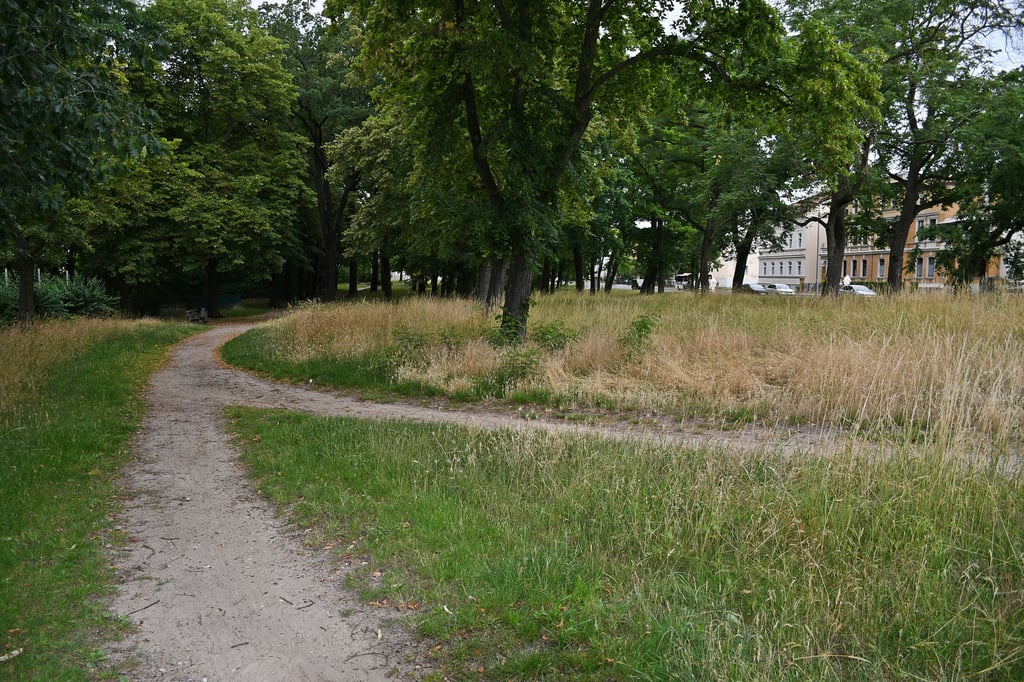 Bisher befand sich der Spielplatz ganz links zwischen Weg und Zaun zu den Gleisen. Der neue Spielplatz soll etwa in der Mitte des Parks entstehen. Die Chillecke für die Jugendlichen findet im vorderen Bildbereich zwischen den beiden Wegen ihren Platz.