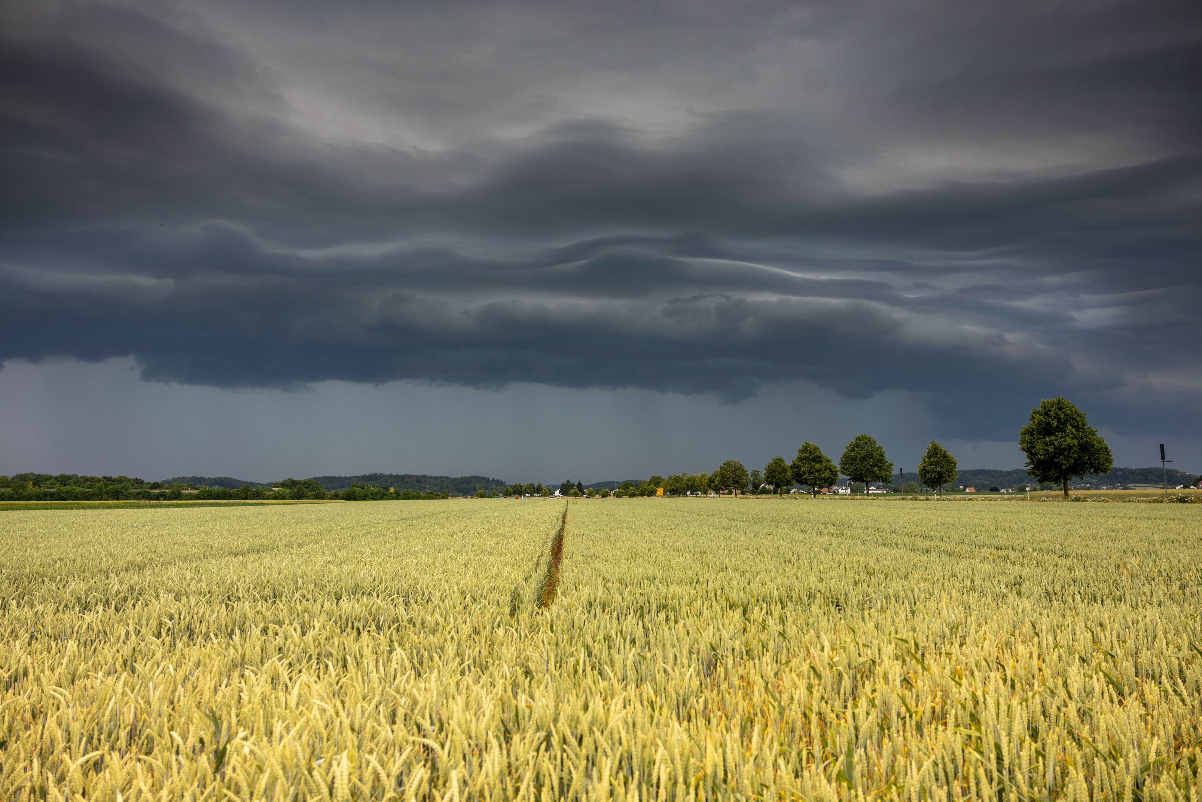 Unwetterwarnung Für Sachsen-Anhalt: Sturm, Gewitter - Warnung Vom DWD ...