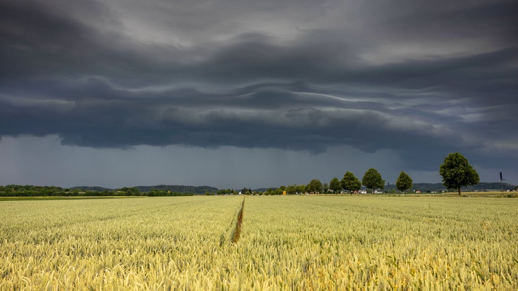 In Teilen Sachsen-Anhalts kann es am Mittwoch stürmisch werden.