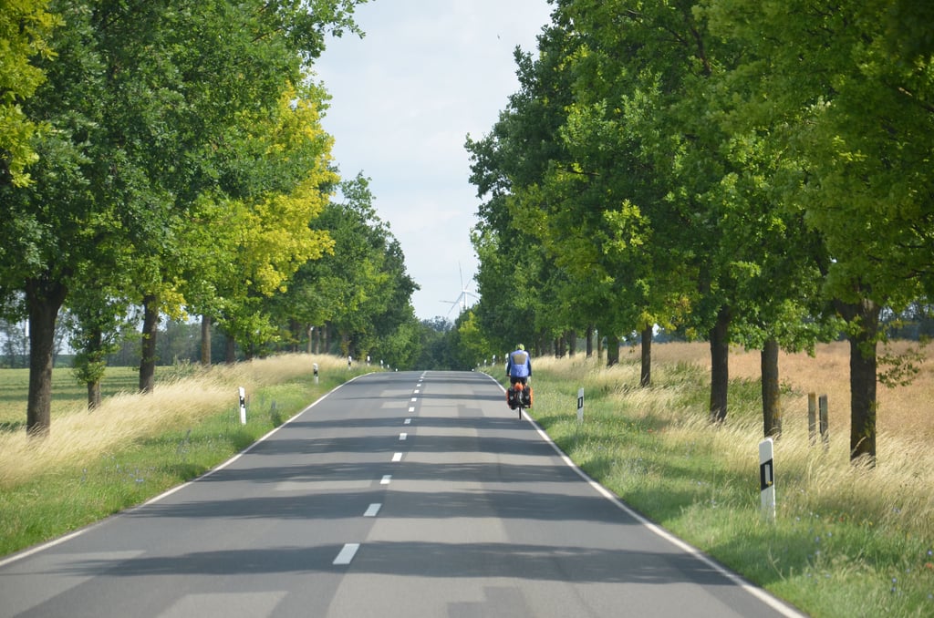 Der überwiegende Teil der 104 "Maßnahmen" sind mit Stand 3. Juli 2023 "Linien", also desolate Fahrradwege oder gänzlich fehlende, wie hier an der K 1304 zwischen Rathmannsdorf und Hohenerxleben.