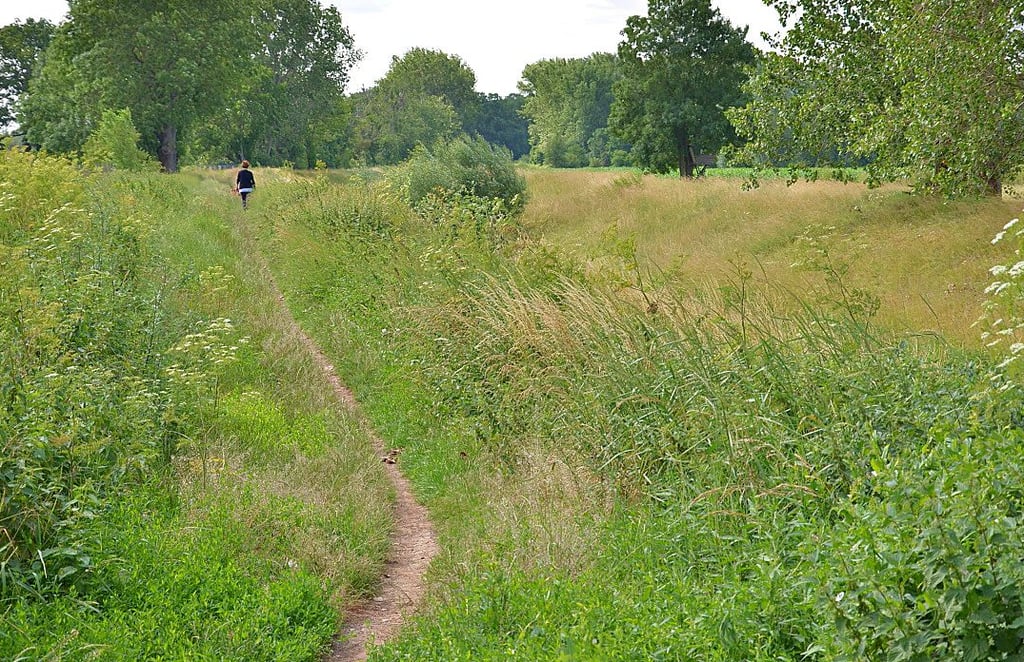 Eigentlich ein wunderschöner Radweg entlang der Liethe, der Wipper- und Boderadweg zwischen Warmsdorf/Amesdorf und Staßfurt verbindet. Er ist aber teilweise kaum noch passierbar, weil fast zugewachsen. Das trifft übrigens auch auf das Gewässer zu.