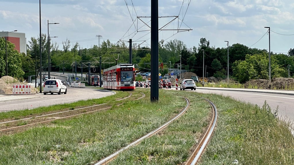 In der neuen Kurve in Wörmlitz ist das neue Grün gleich schon fertig. Die Rasenmischung mit Weißklee soll robust gegen Trockenheit sein.
