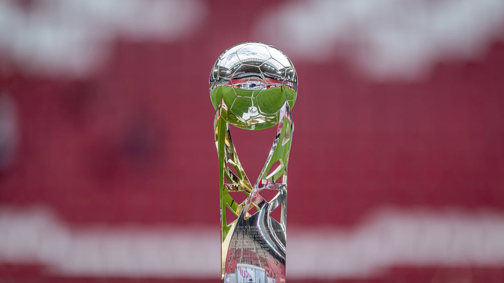 In der letzten Saison fand der Supercup bei RB Leipzig statt.