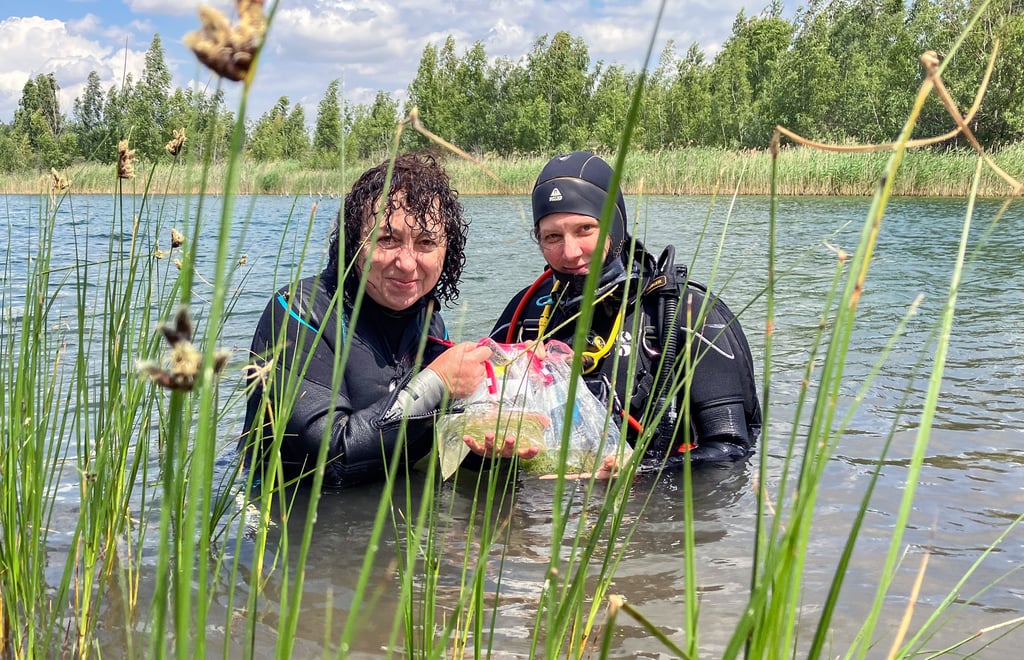 Naturschutztaucherinnen Silke Oldorff und Jorinde Bugenhagen (von links) bestaunen ihre Beute im Beutel. Darin schwimmen vor allem vielstachelige Armleuchteralgen.