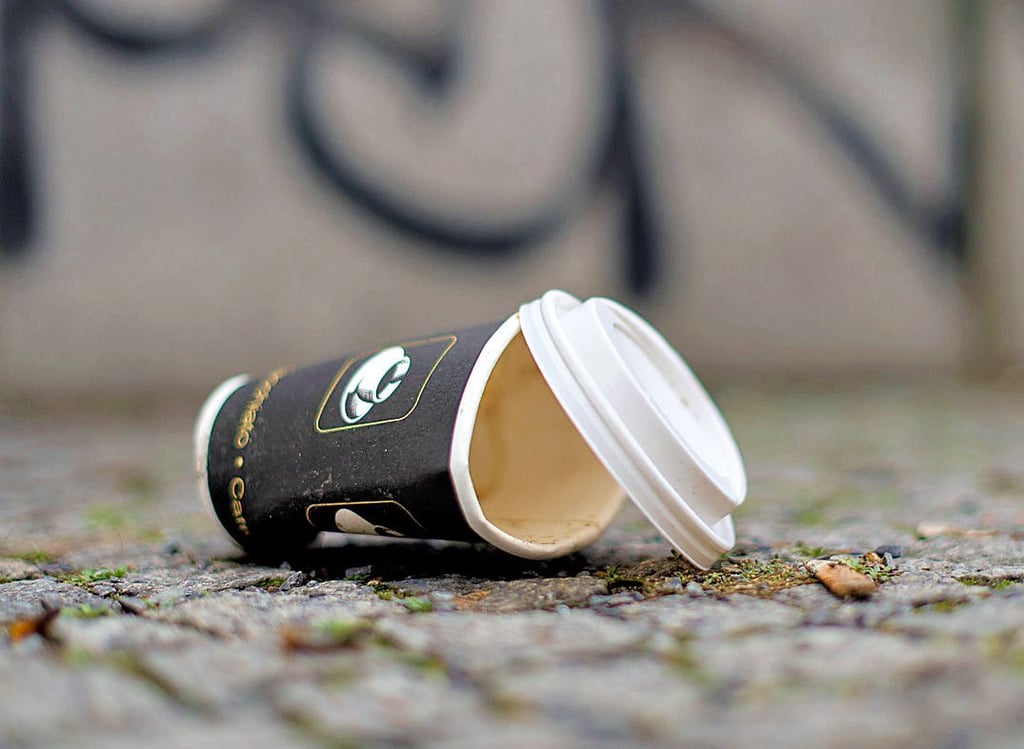 Zu viel Verpackungsmüll – ein Problem, mit dem auch die Harzstadt Wernigerode zu kämpfen hat.