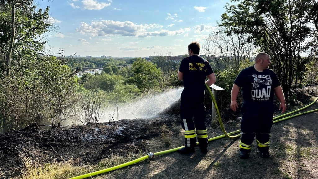 Die Feuerwehr war schnell vor Ort und hatte den Brand kurz vor 19 Uhr unter Kontrolle.